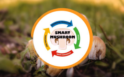 SMARTHMUSHROOM: Smart Mangement of spent mushroom substrate to lead the MUSHROOM sector towards a circular economy